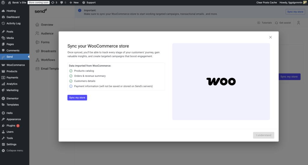 6 Ways Freelancers and Agencies Can Turn Email Marketing into Monthly Revenue 3 sync with woo p2