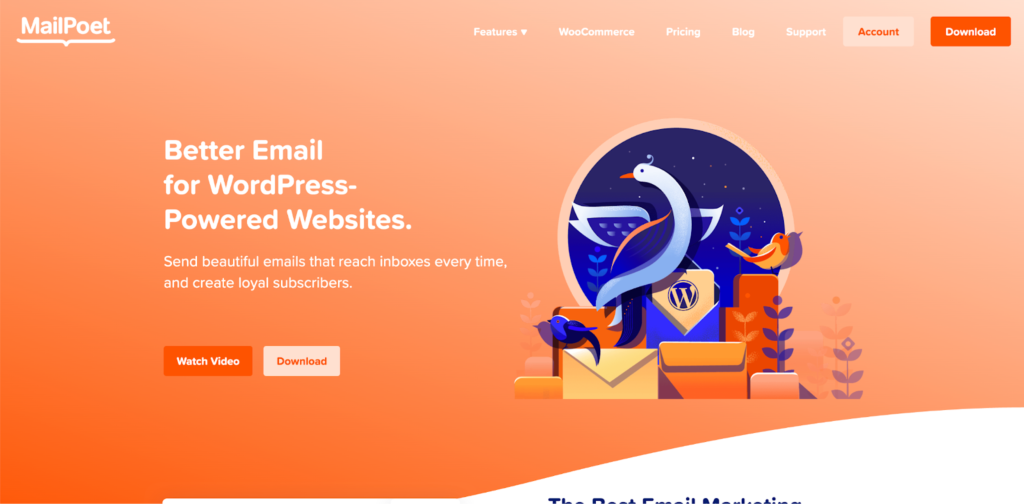 10 Best WordPress Newsletter Plugins in 2025 4 image 44 10 Best WordPress Newsletter Plugins in 2025 3 image 44